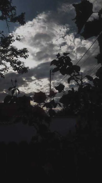 images (23).jpeg