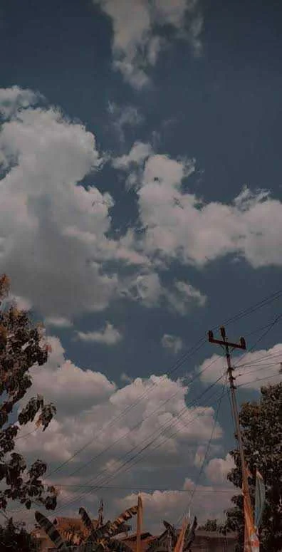 images (22).jpeg