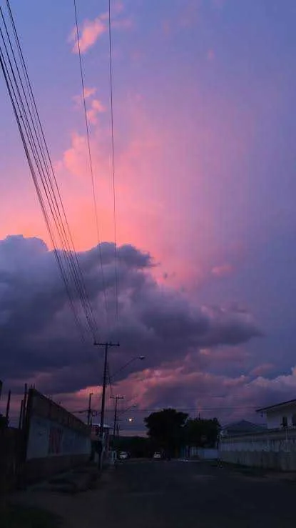 images (16).jpeg