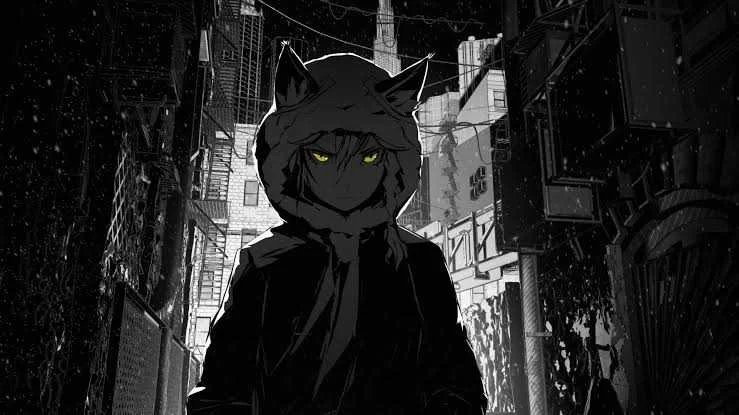 images (32) (27).jpeg