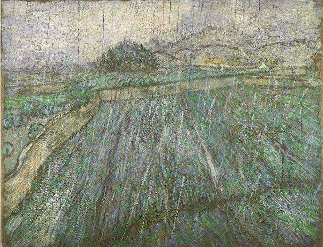 Rain
