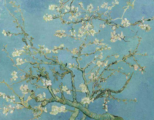 Almond Blossom