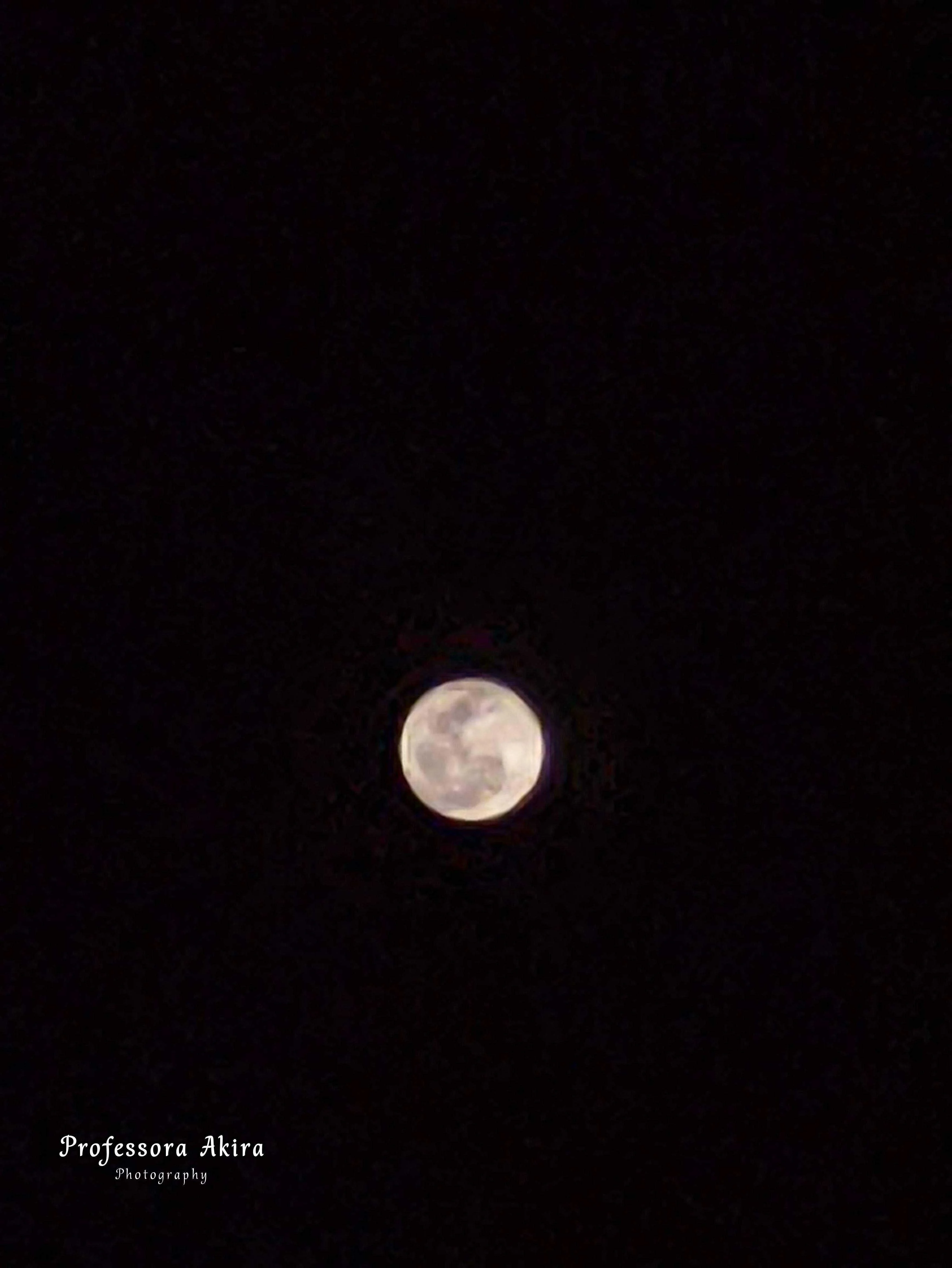 IMG_20220417_225802.jpg