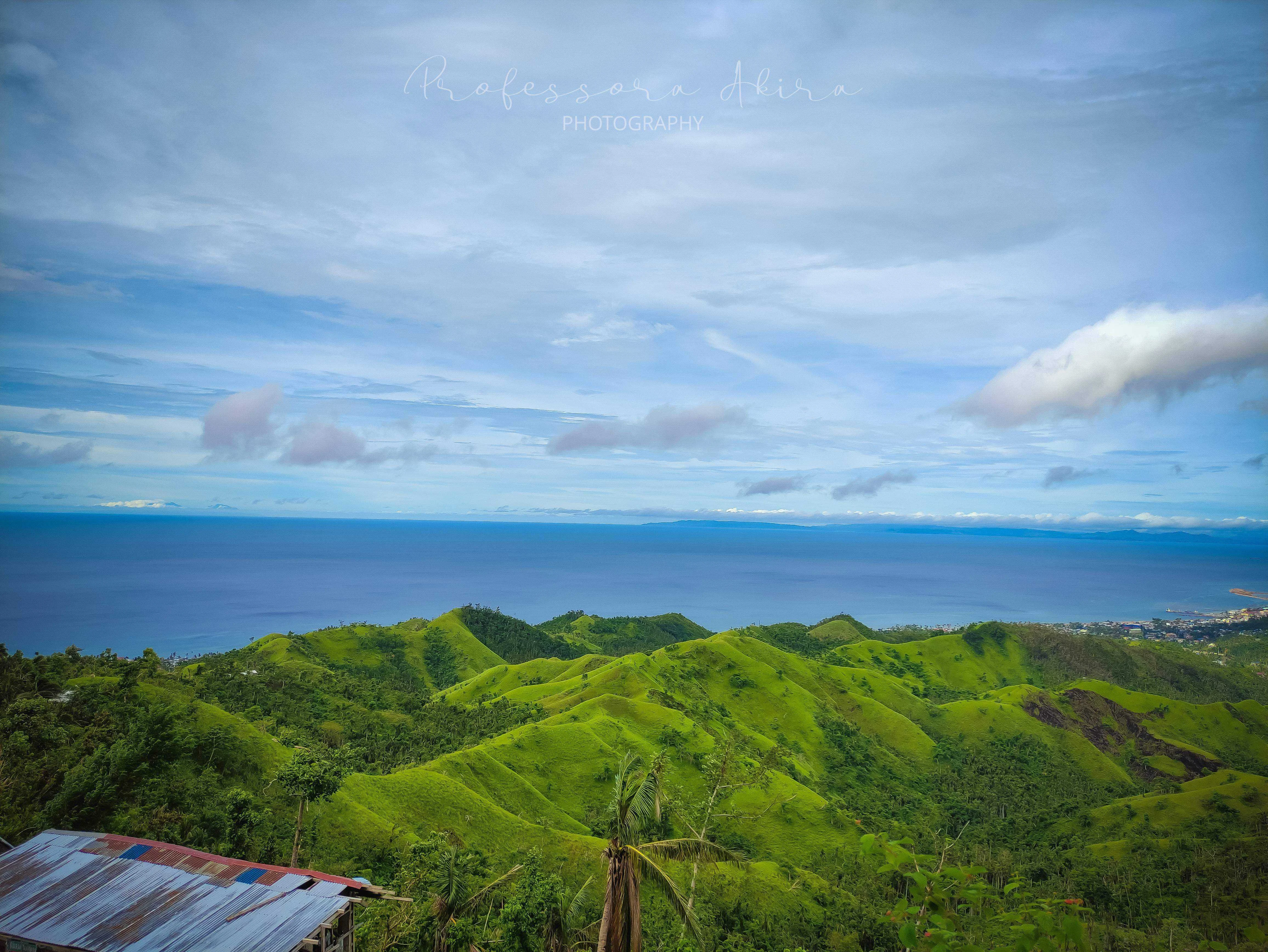 Green Scenery