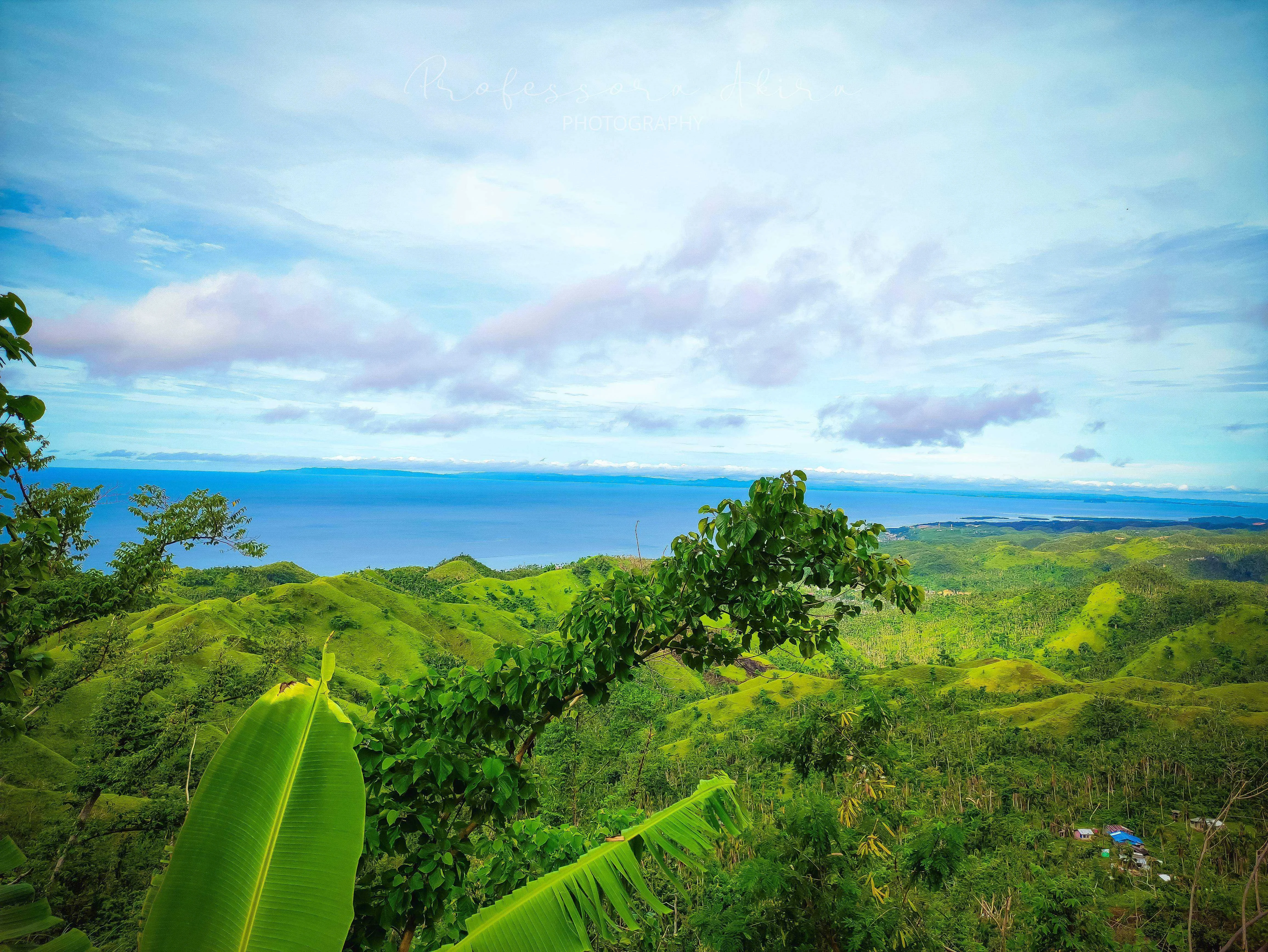Green Scenery2