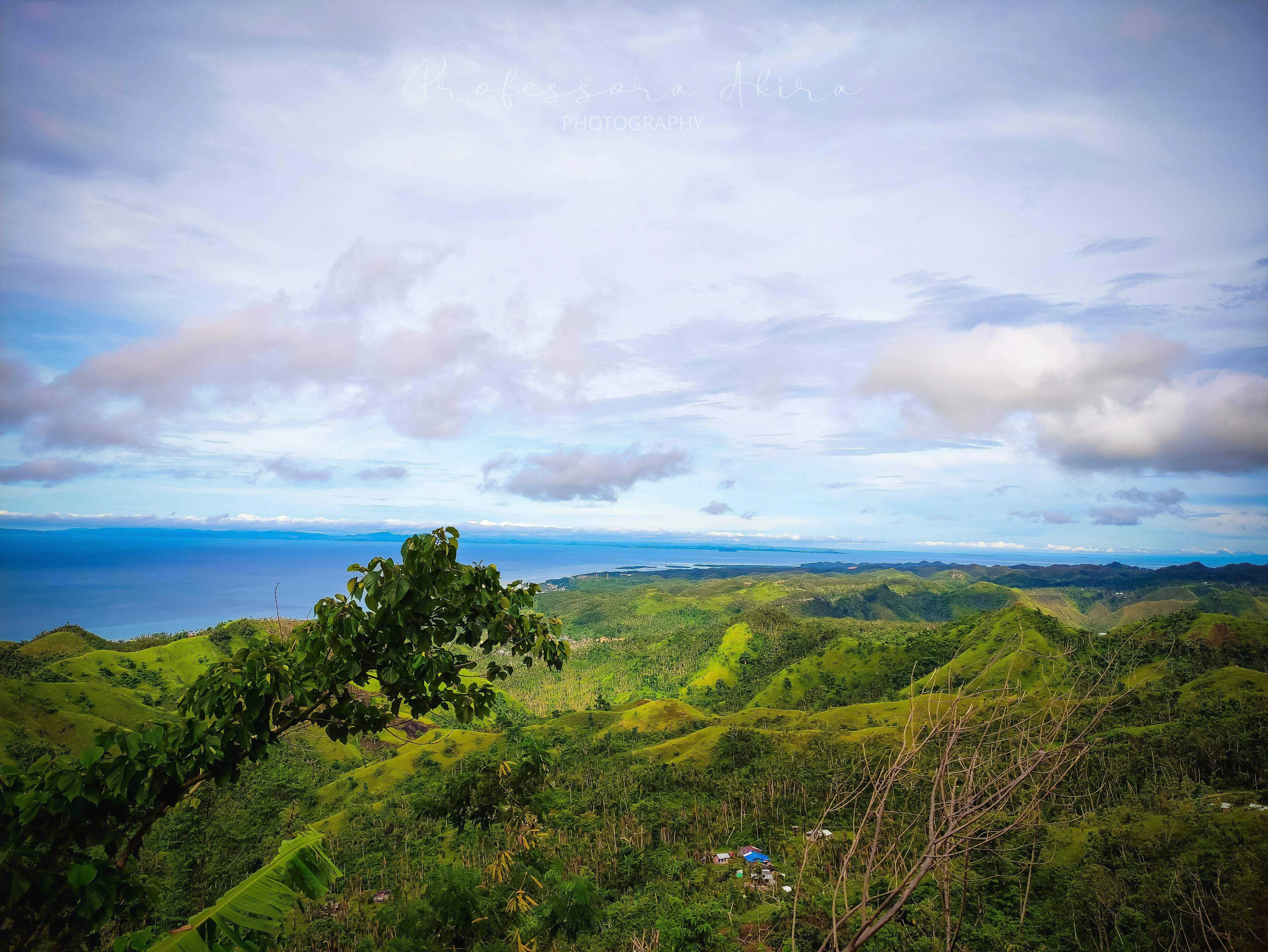 Green Scenery3