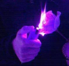 burningpurplerose.jpg
