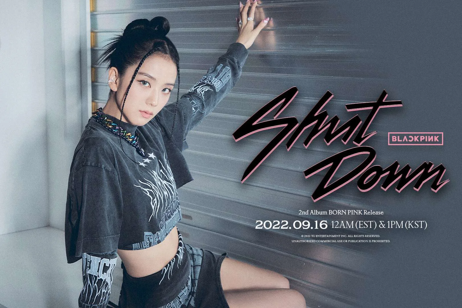 BLACKPINK-Born-Pink-2nd-Full-Album-Concept-Teasers-documents-1(2).jpeg