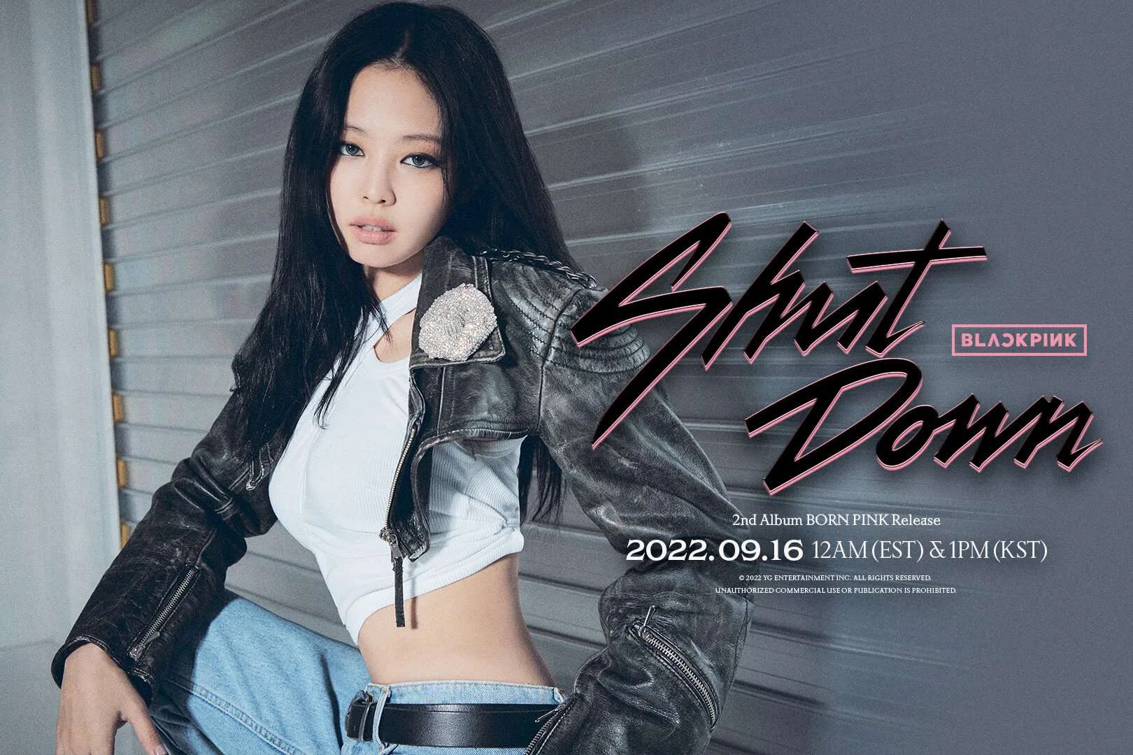 BLACKPINK-Born-Pink-2nd-Full-Album-Concept-Teasers-documents-1(3).jpeg