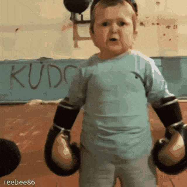 hasbulla-hasbik.gif