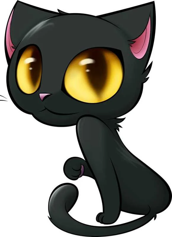 black cat