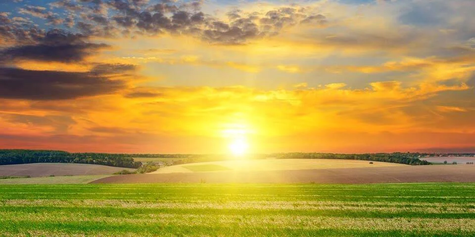 good-morning-sunshine1.jpg