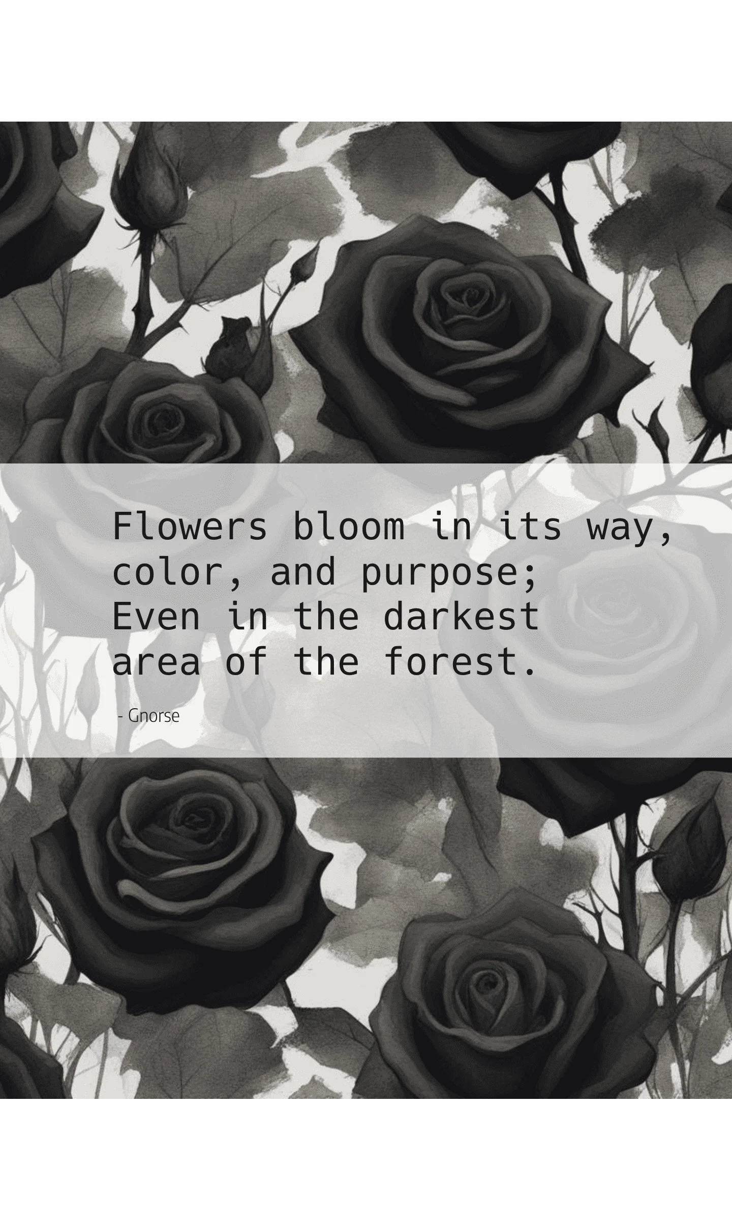 insta-poem-1.png