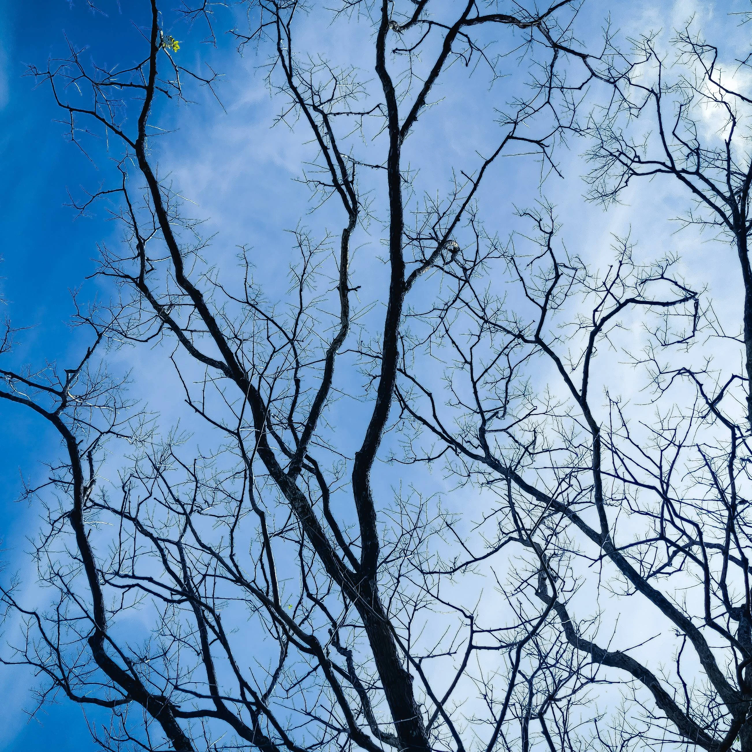 Nature Photography