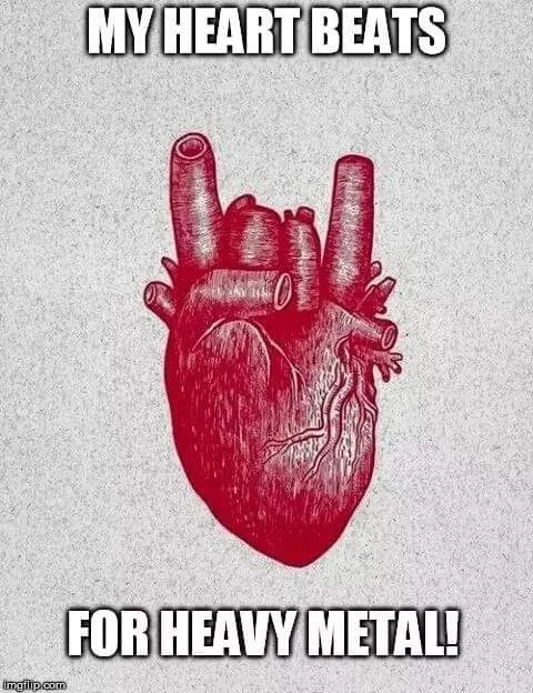 FB_IMG_1707917753316.jpg