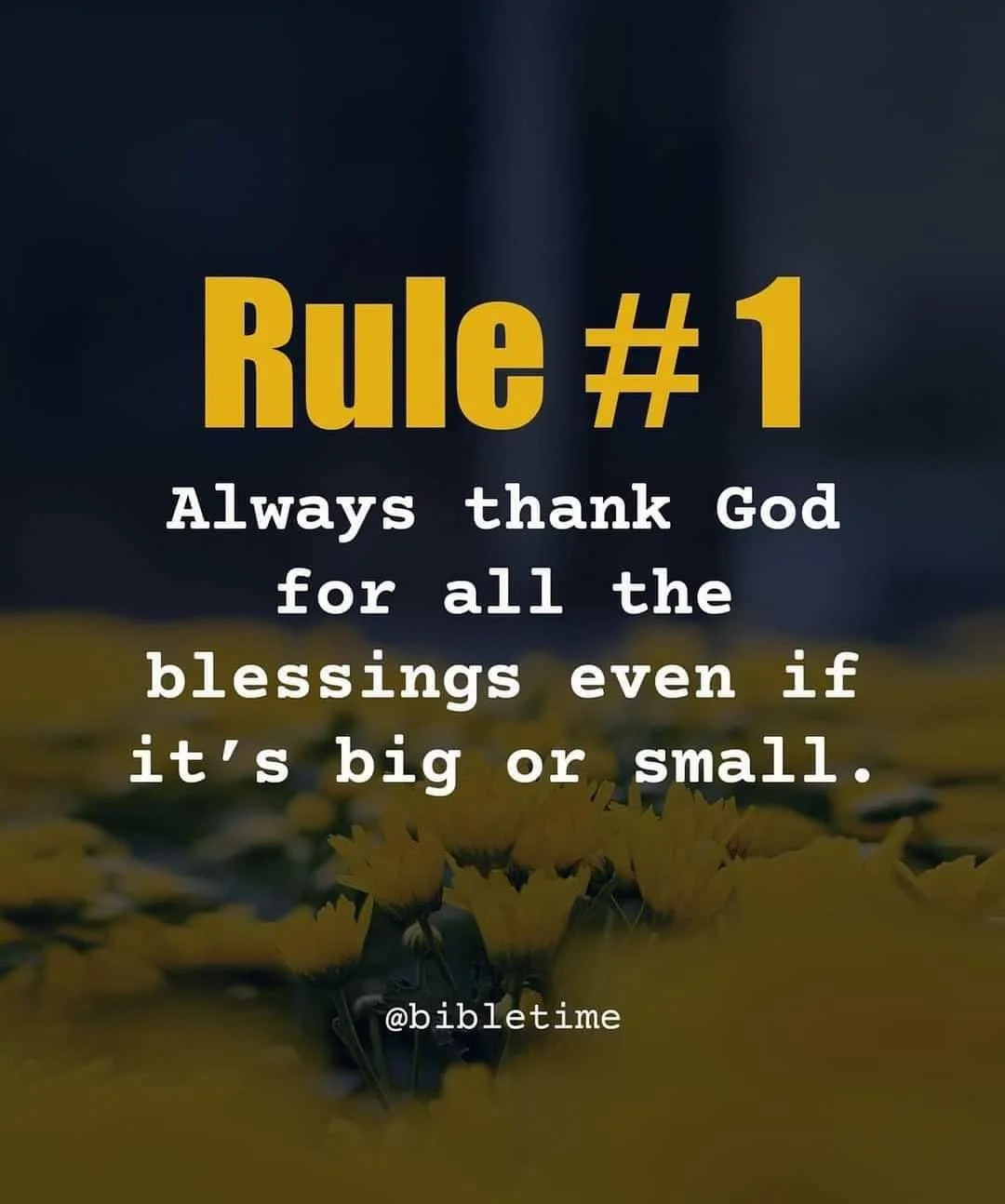 Rule in Life