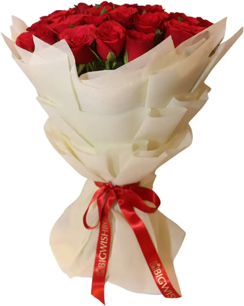 518DMMfr8tL._AC_UF1000,1000_QL80_.webp