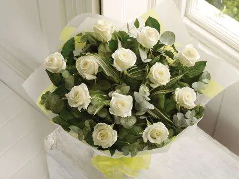 product17.webp
