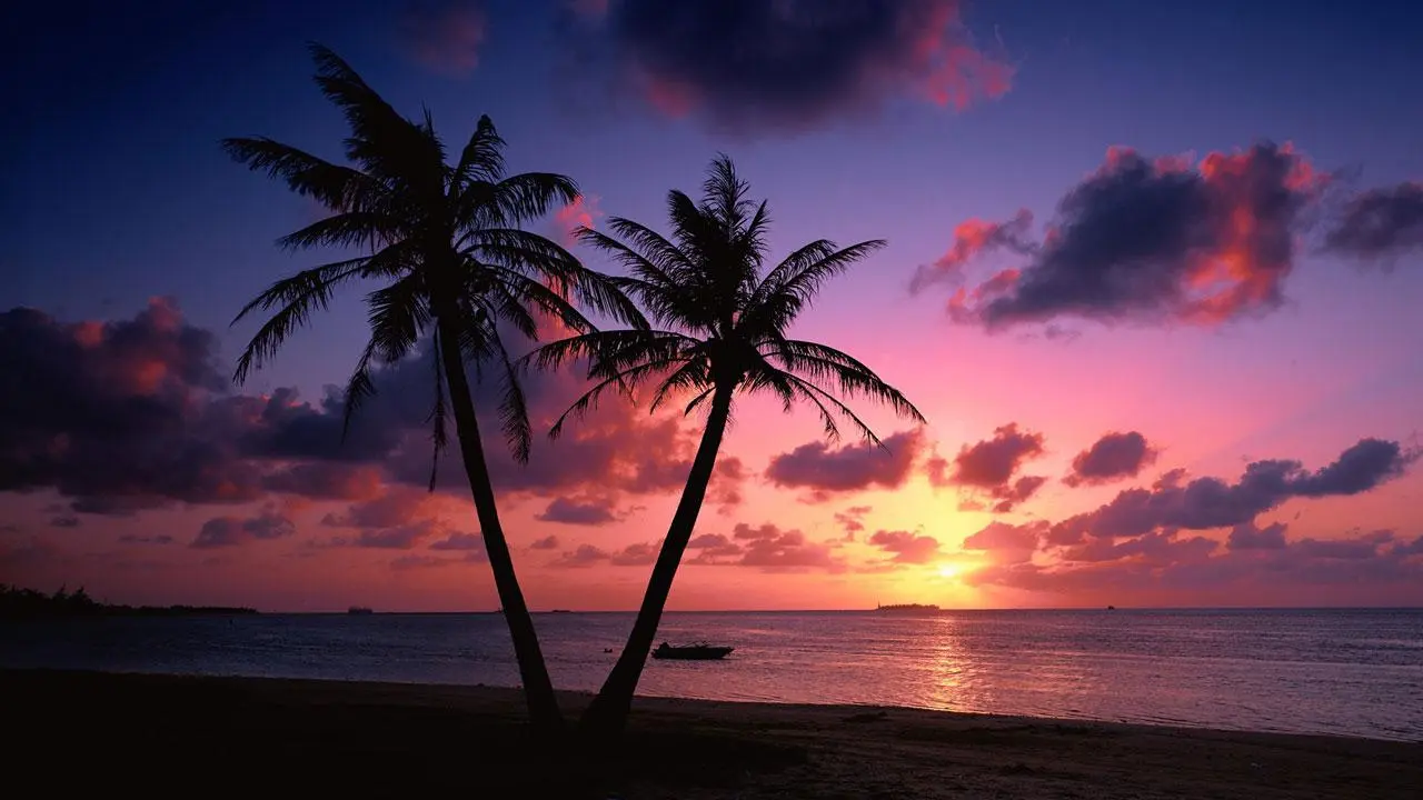 3269347-beach-sunset-wallpapers.webp