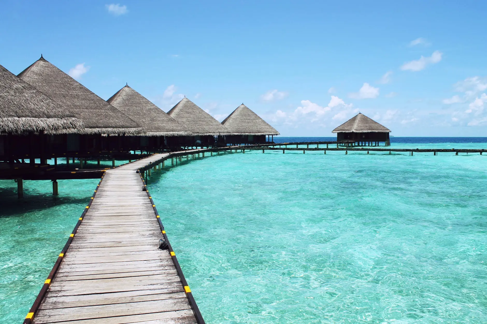 beach-vacation-water-summer.webp