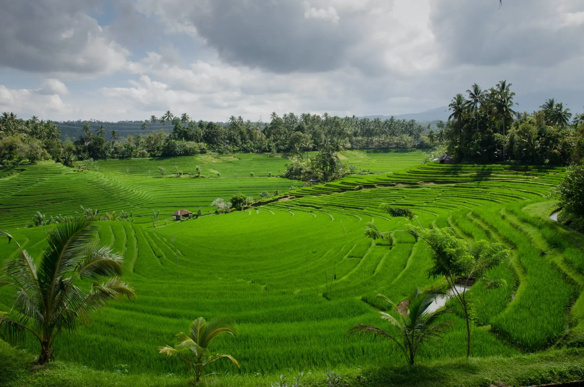 clouds-cloudy-agriculture-farm.webp