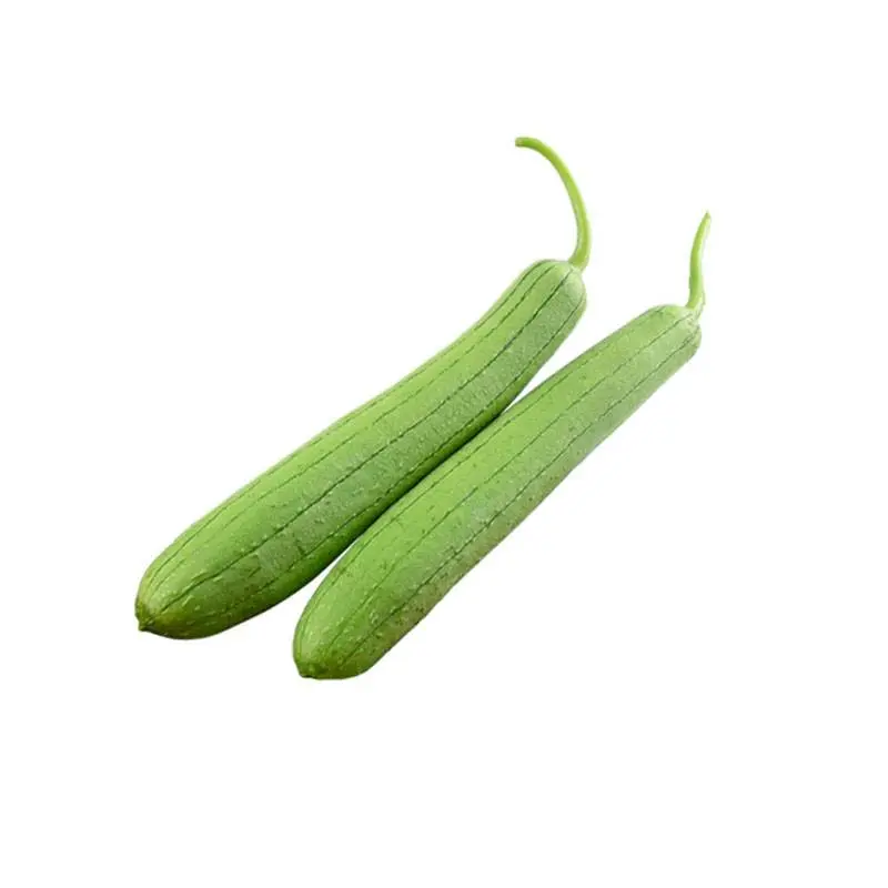 patola-2-pcs.webp