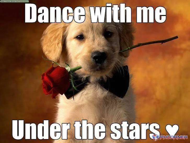 Dance...