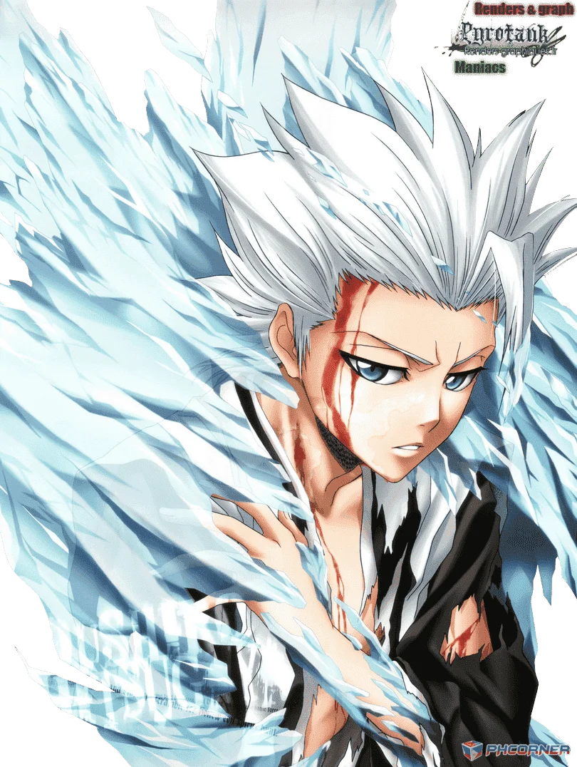 Bleach_5485