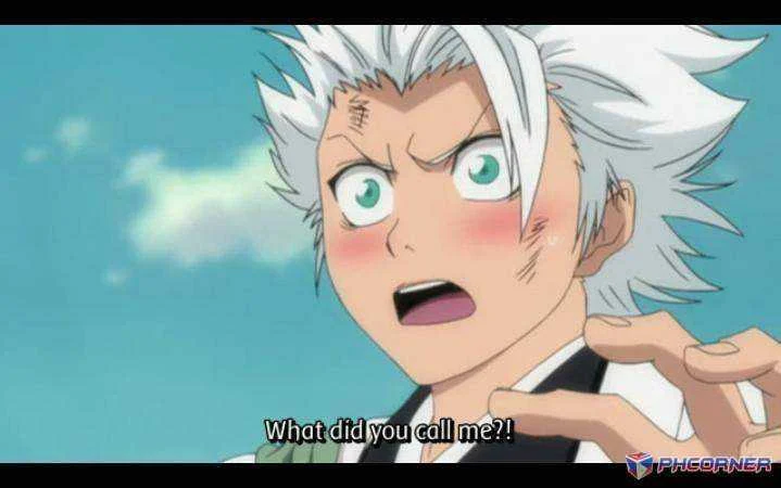 Shiro-kun-3-toshiro-hitsugaya-fangirls-3-38160764-719-450