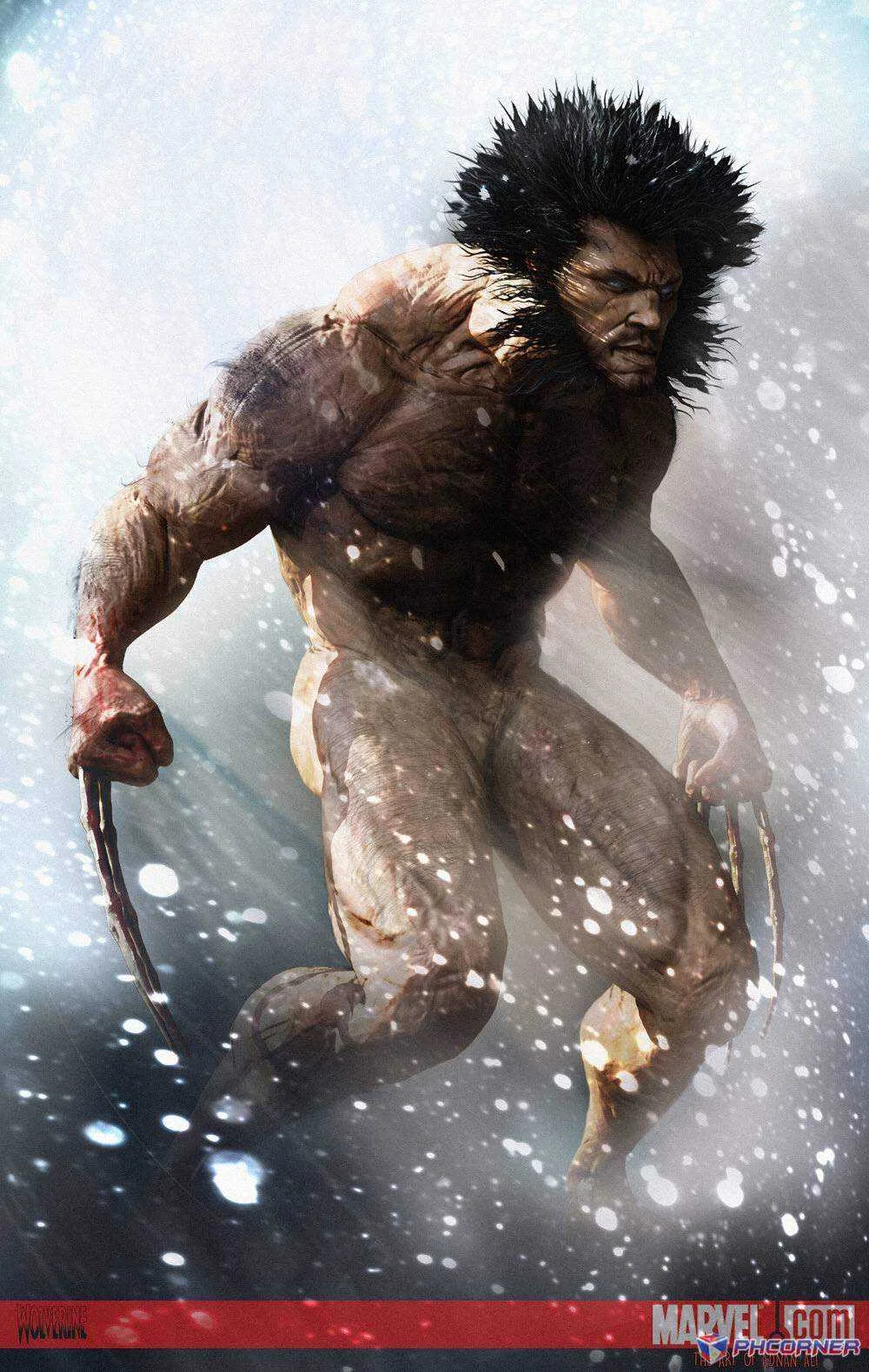 Wolverine