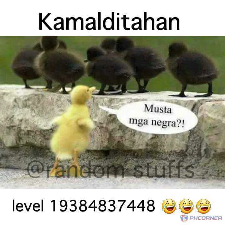 random