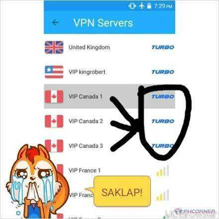 TMPDOODLE1486036704685