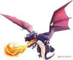 Images-8