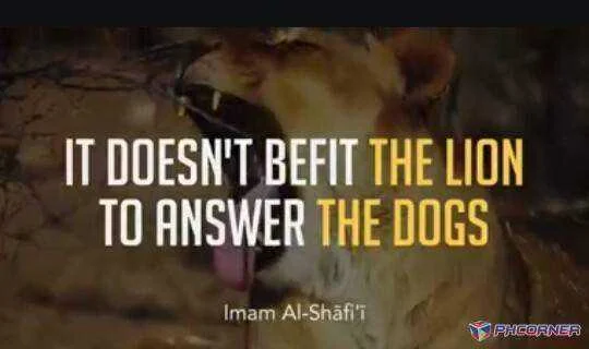 Imam Shafii