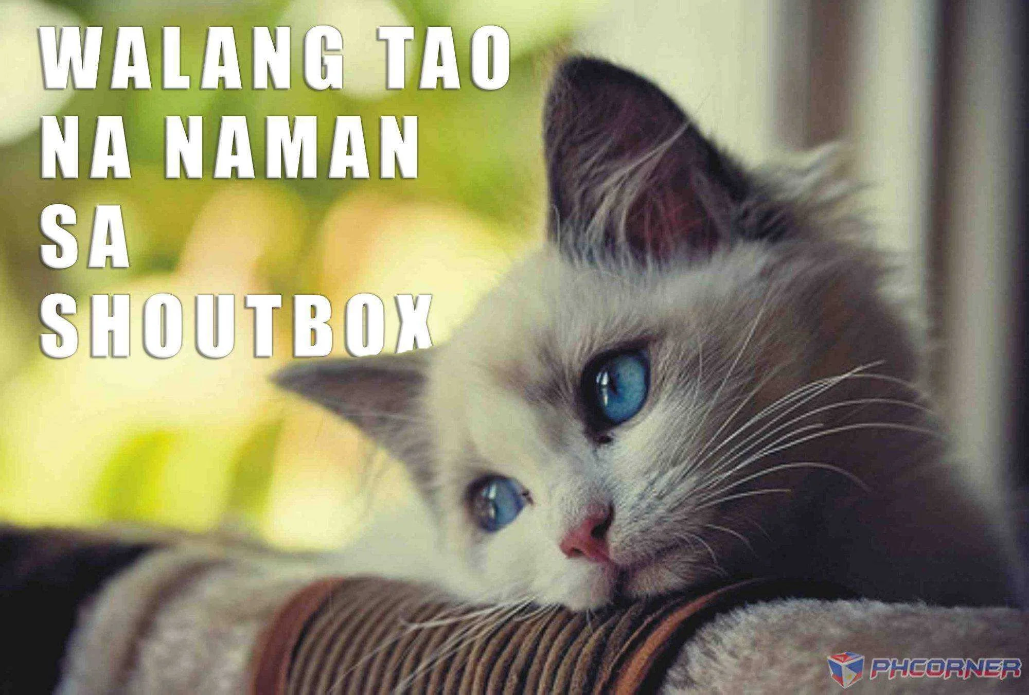 Cat_walang Tao