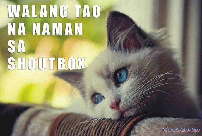 Cat_walang Tao_resized