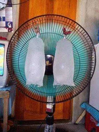 Summer feels.jpeg