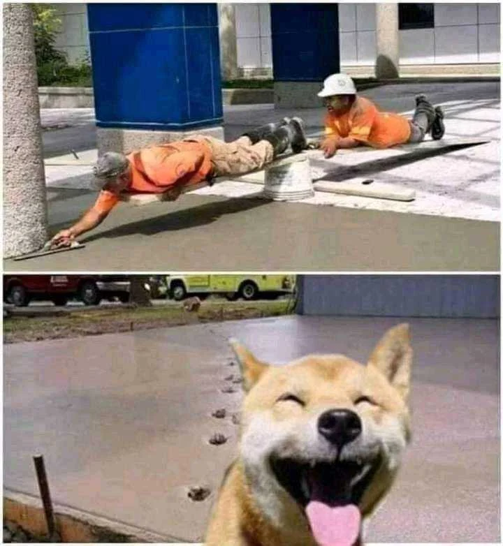 Pasaway na Aso.jpg