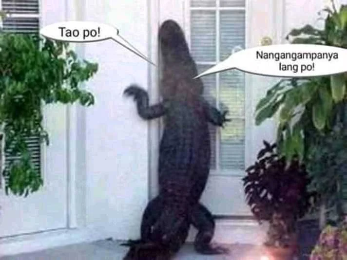 Buwaya.jpg