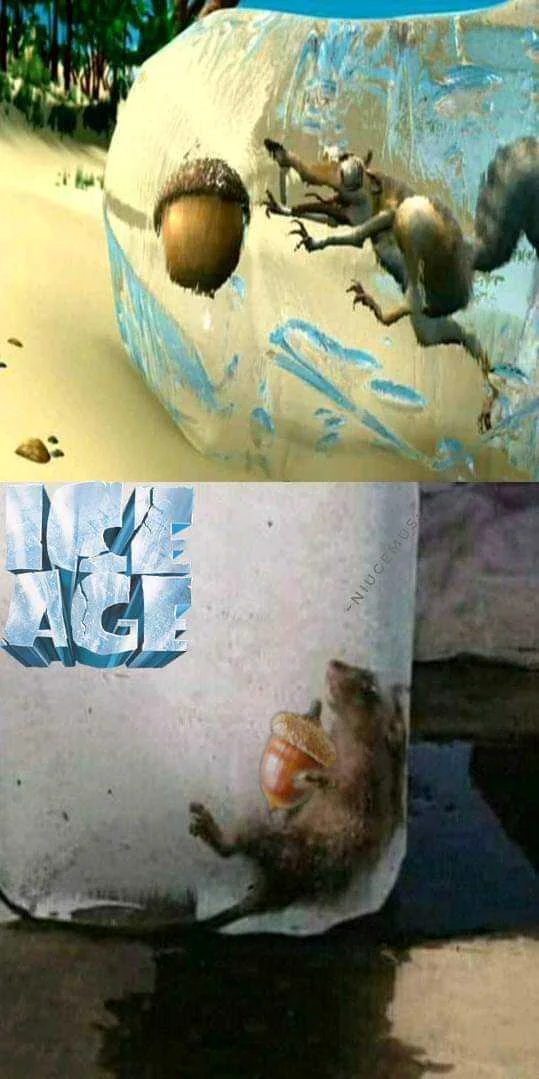 Ice Age 😂