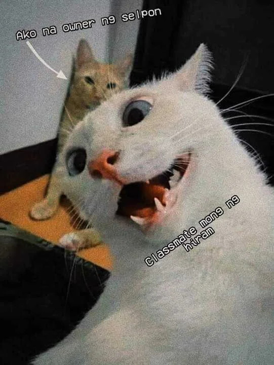 Cute😄