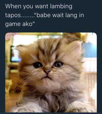 When you want Lambing 🙄