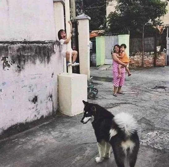 Fear of Dogs😄