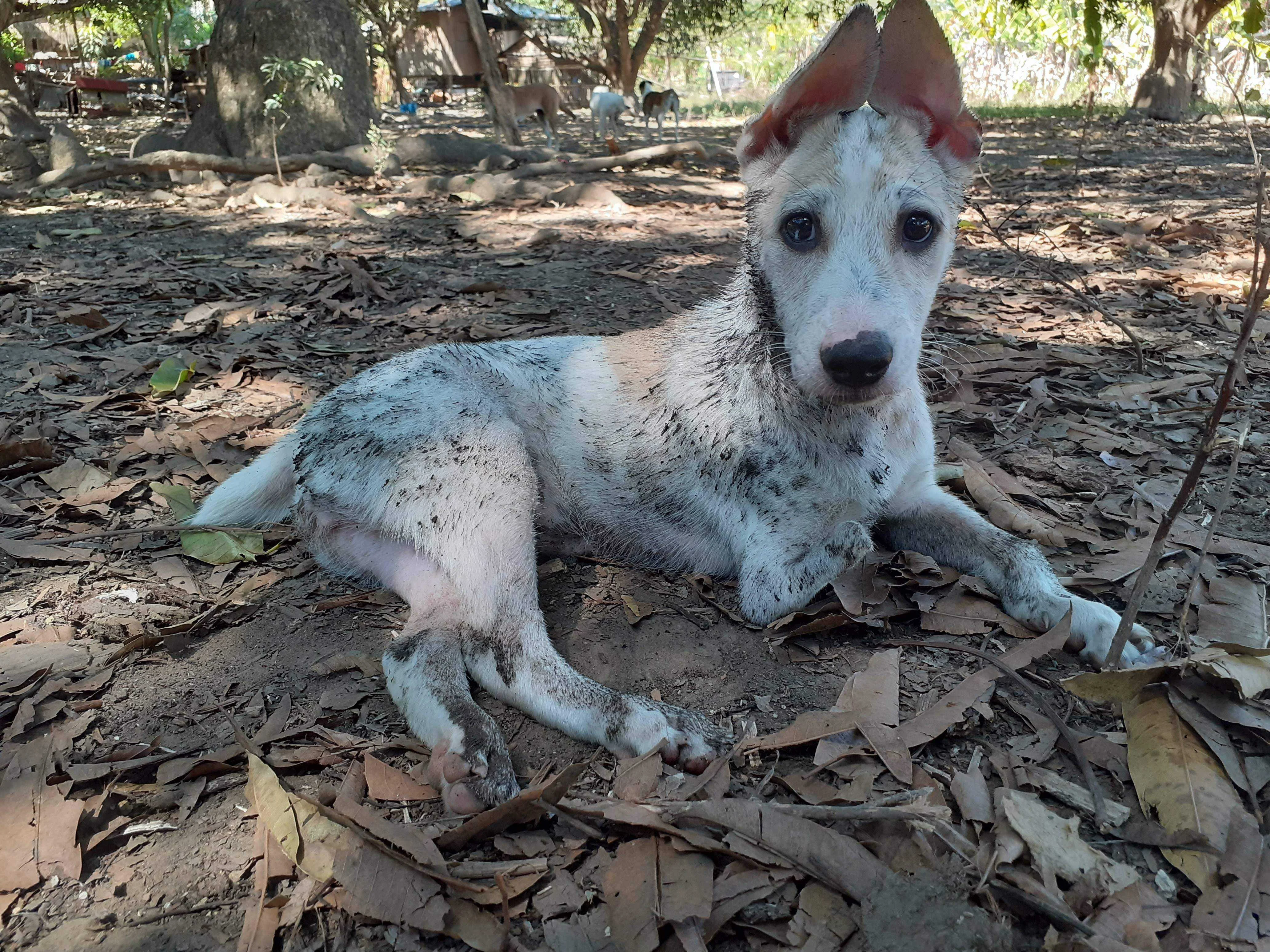 20190507_093603.jpg