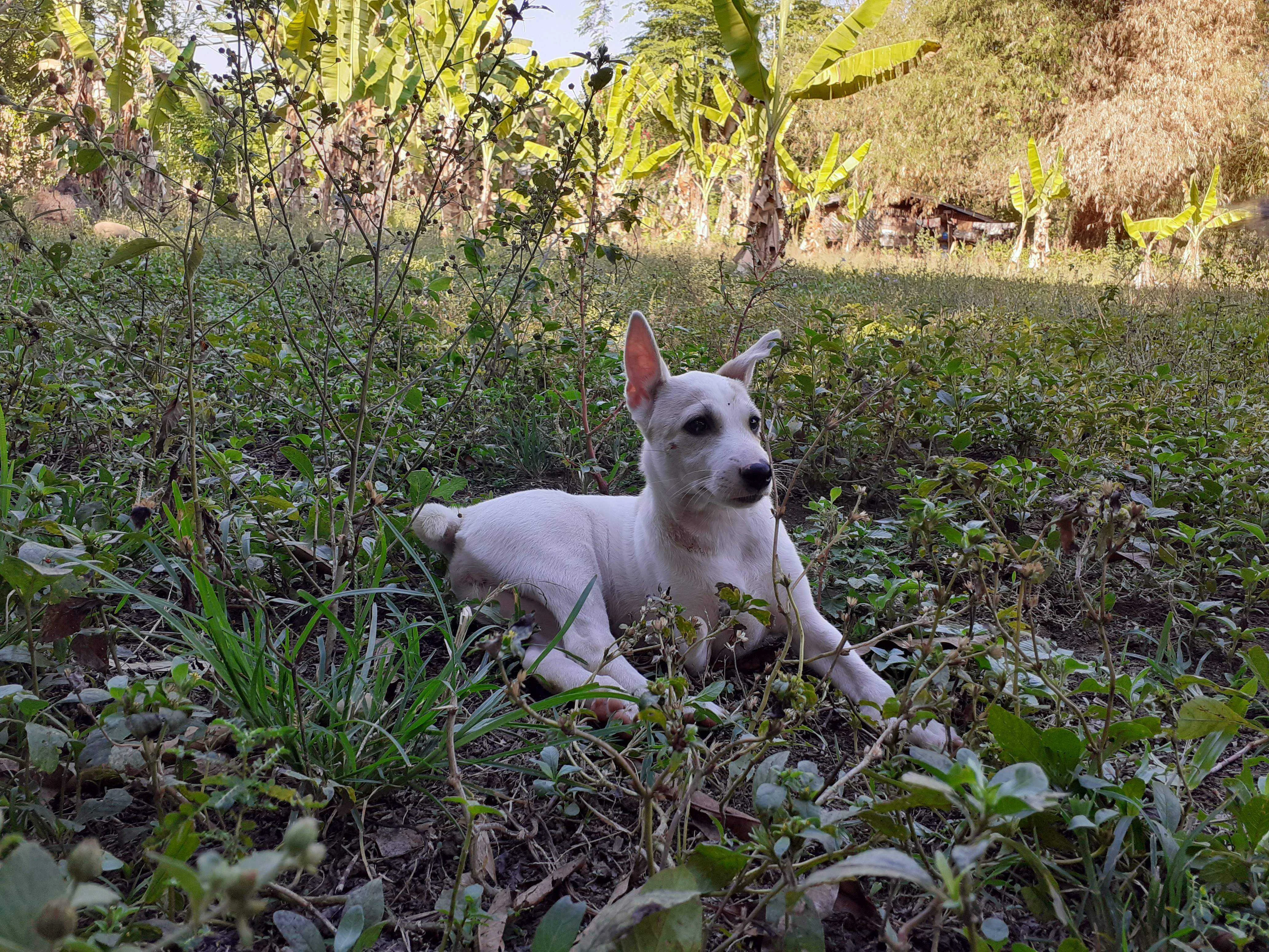 20190417_074126.jpg