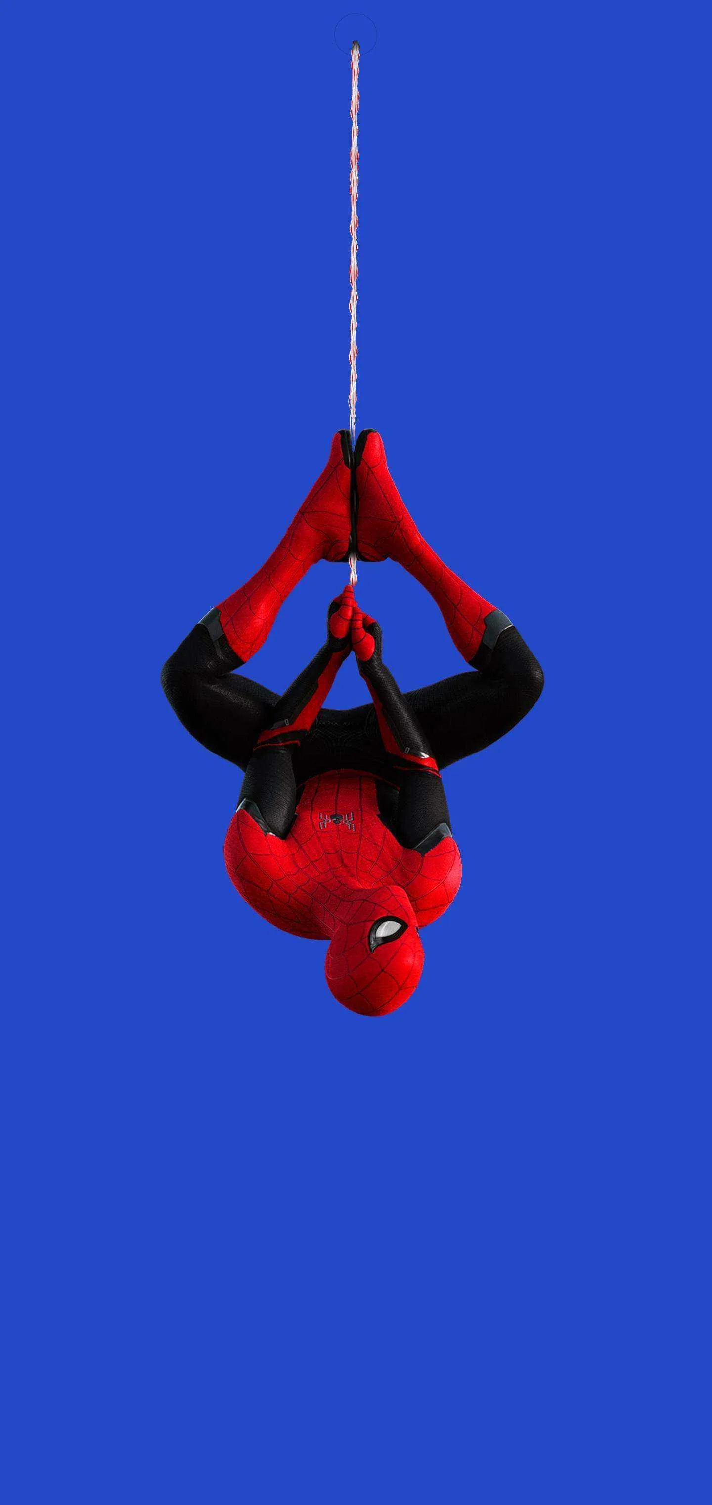 wallpix1566723603-SpiderBlack.jpg