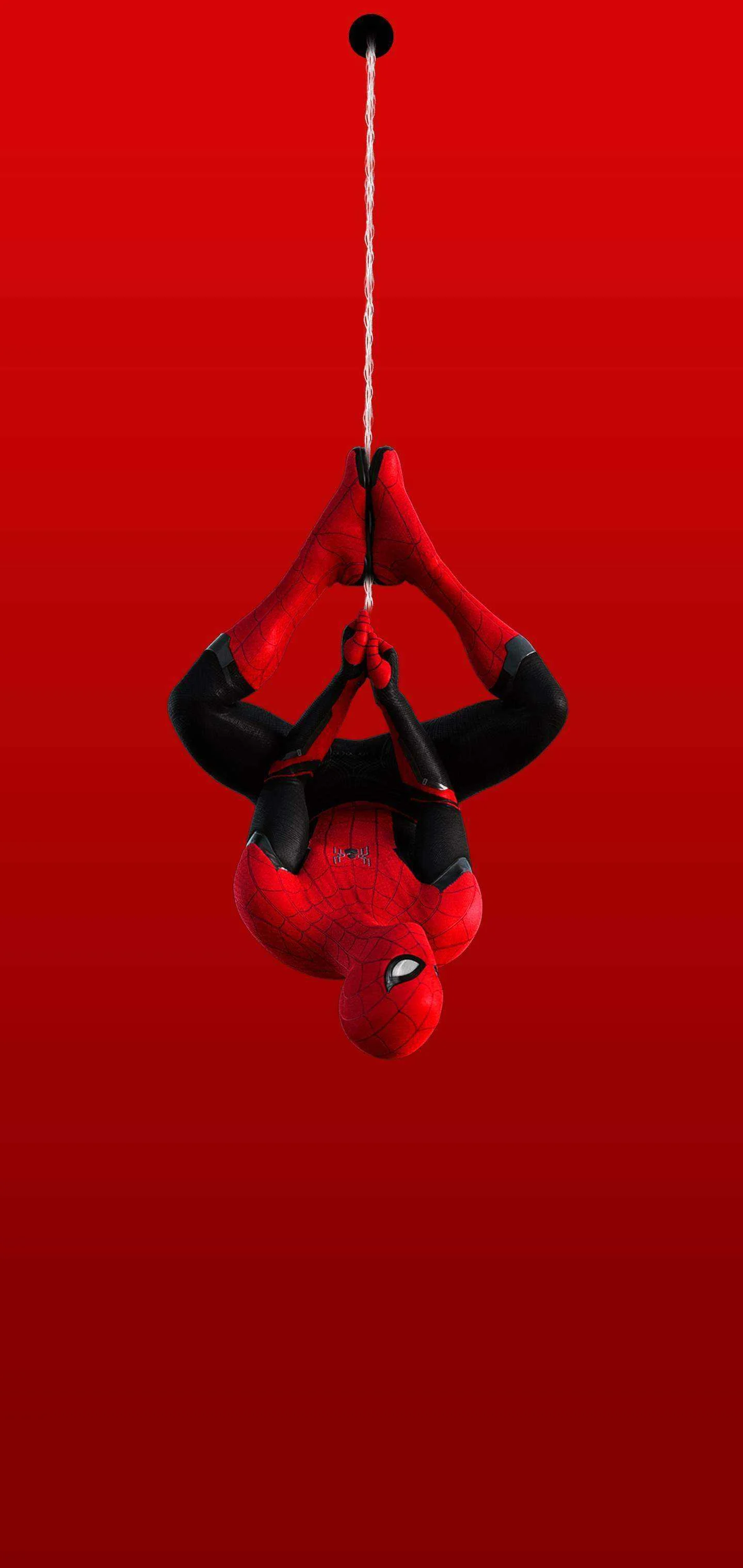 wallpix1566723603-SpiderBlack.jpg