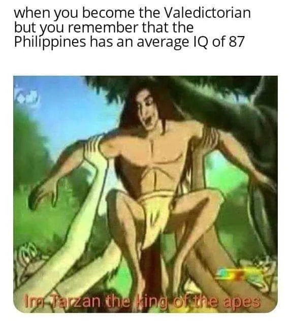 IQ