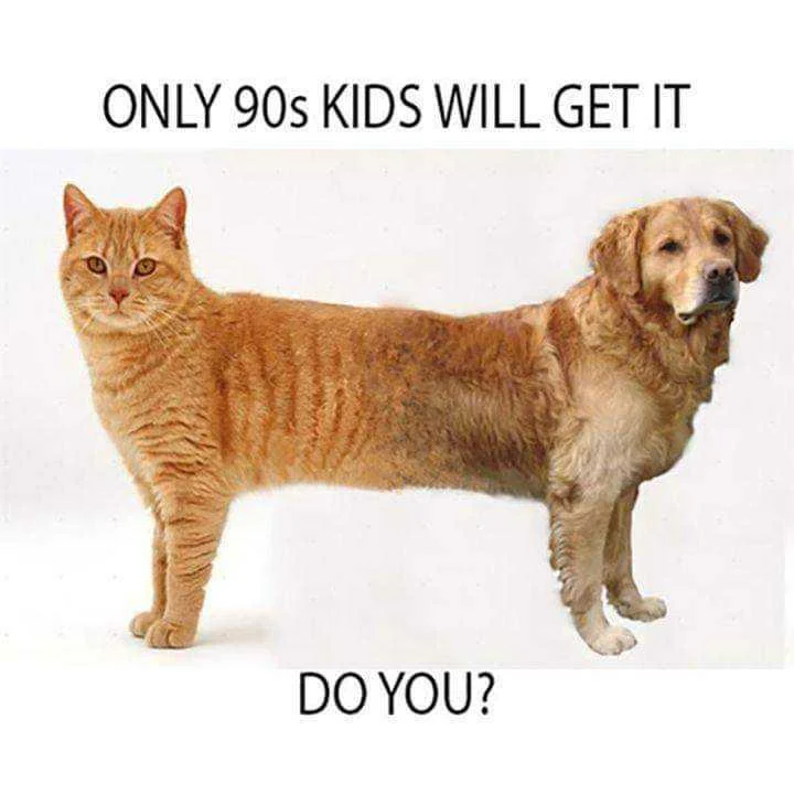 remember this?