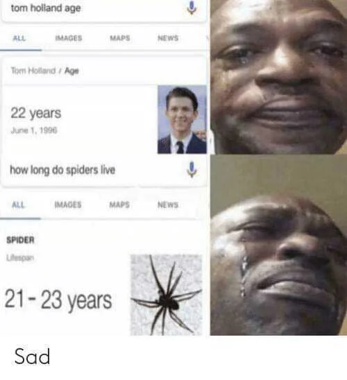 🕷️